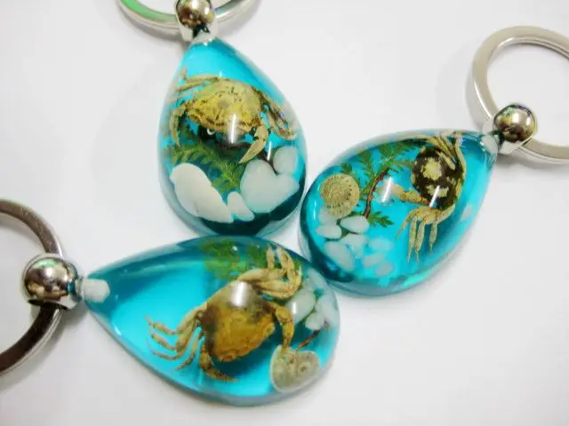 Бесплатная доставка 12 шт брелок настоящий краб из смолы taxidermy настоящее