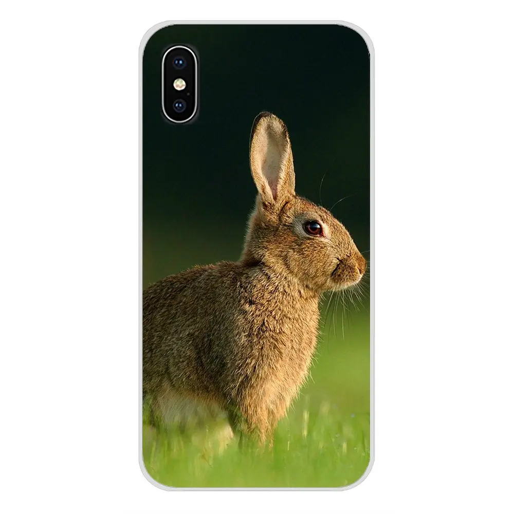 Смешной кролик с милыми животными для htc один U11 U12 X9 M7 M8 A9 M9 M10 E9 Plus Desire 630 530 626 628 816 820
