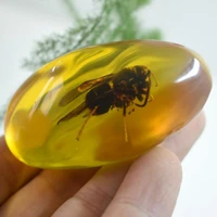 chinese beautiful amber animal bee fossil insects manual polishing exquisite animal specimens