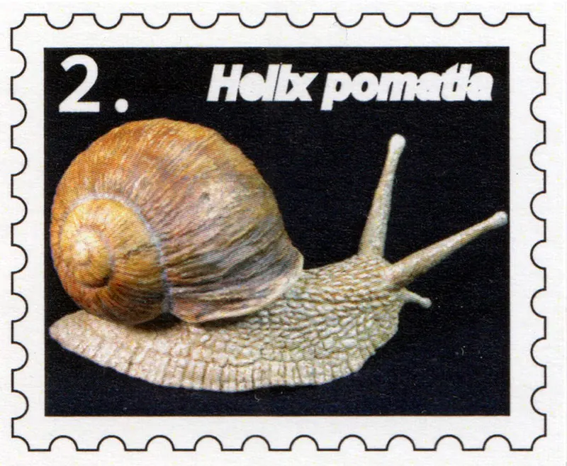Моделирование 10 см Helix Pomatia животных миниатюрные Фэнтези Неокрашенный DIY