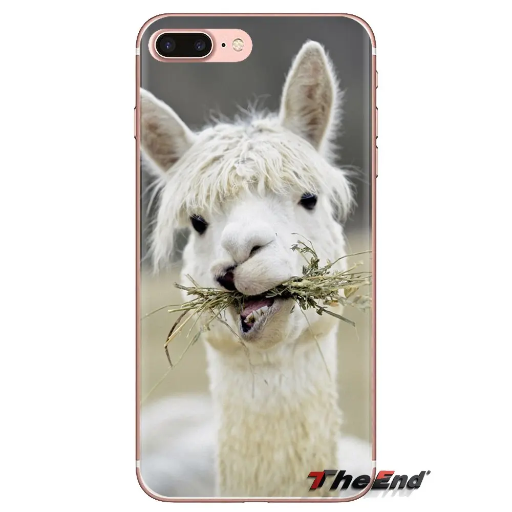 Для iPod Touch Apple iPhone 4 4S 5 5S SE 5C 6 6S 7 8 X XR XS Plus MAX силиконовый чехол для телефона милый