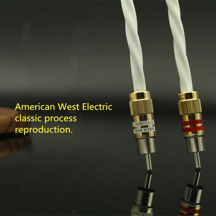 RCA сигнальный кабель с двойной головкой лотоса аудио кабель/США West Электрический