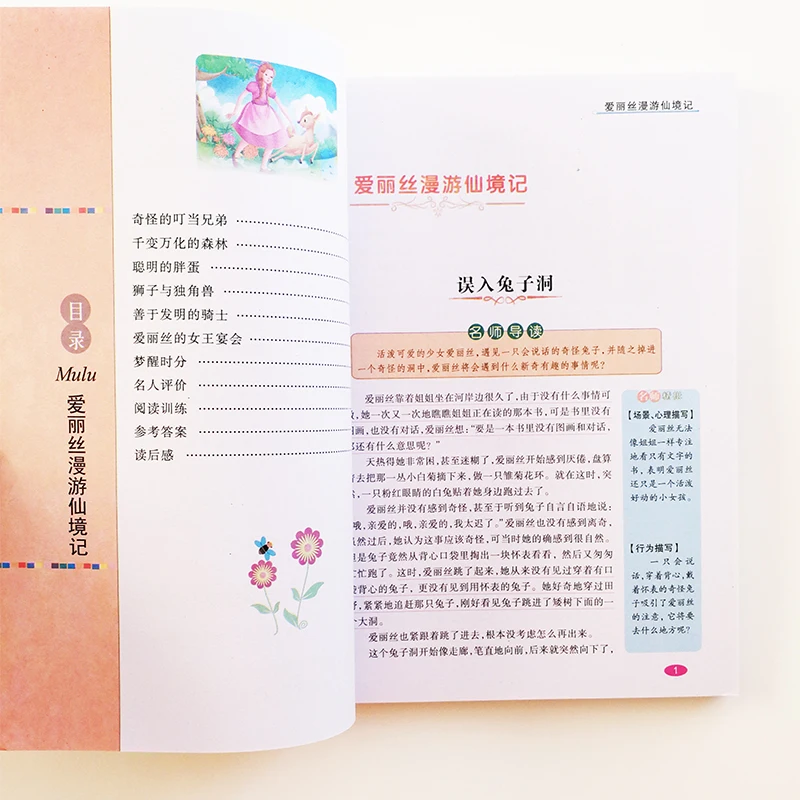 Alice in Wonderland &ampThrough the looking-Glass Chinese Books for Children/Teens /Middle School Students Simplified |