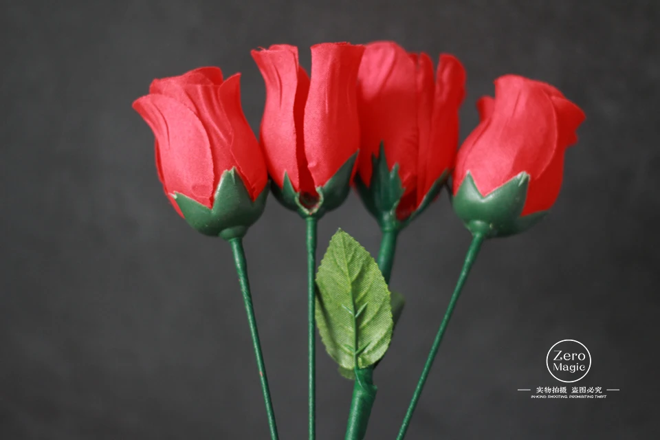 Y Rose от г на и Бонда ли одна роза меняется четыре розы Волшебные трюки волшебство