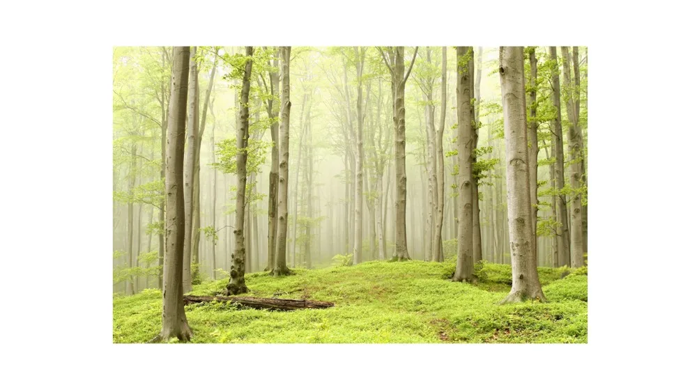 Пользовательские занавески Роскошные Затемненные окна гостиной шторы с лесом