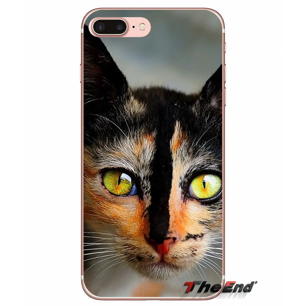 Красочные Кошки для samsung Galaxy J1 J2 J3 J5 J7 A3 A5 A7 2015 2016 2017 J330 J530 J730 аксессуары телефон