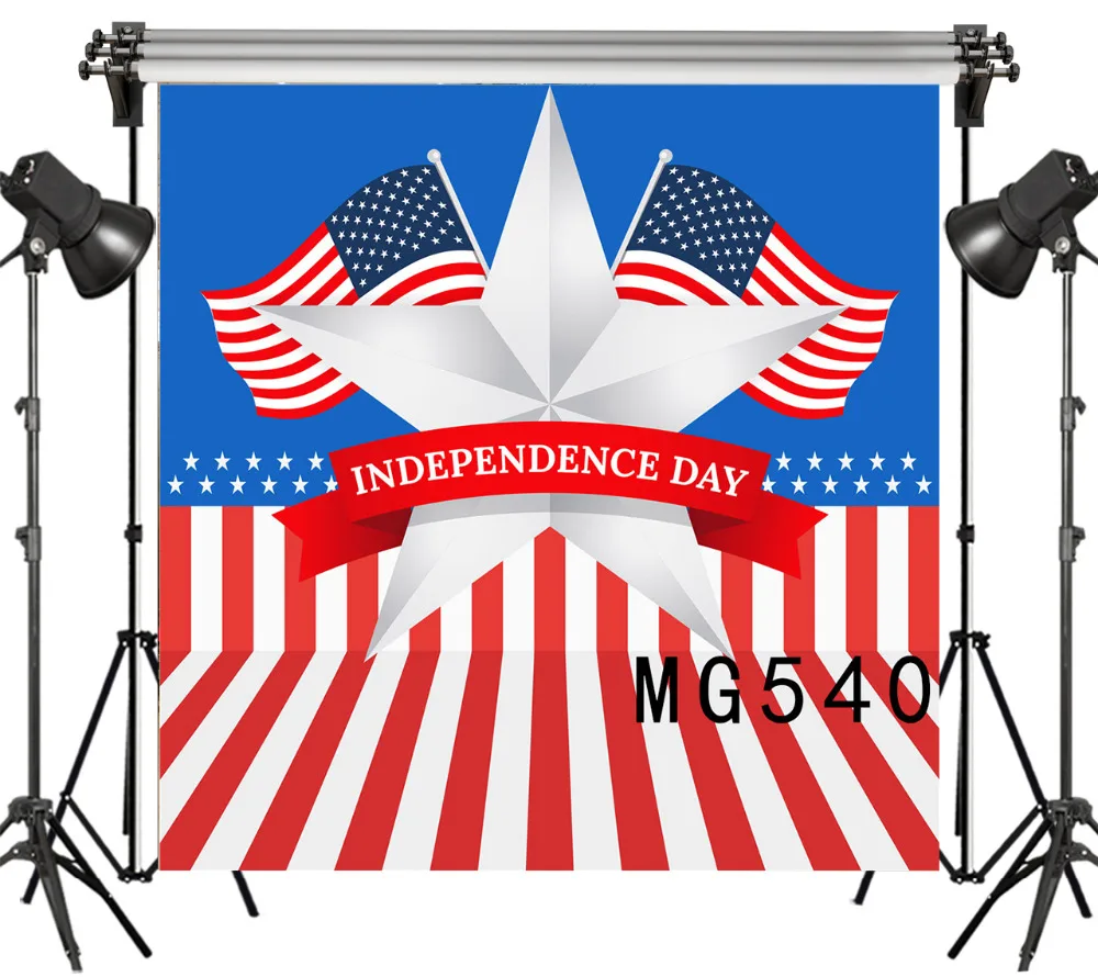 LB полиэстер и винил фотография фон для студийной фотосъемки фотосессия День