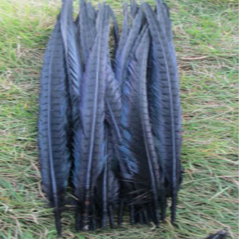 

Wholesale 100pcs/lots pretty Dyed 55-60cm/22-24''' copper chicken feather Black pheasant Tail feathers