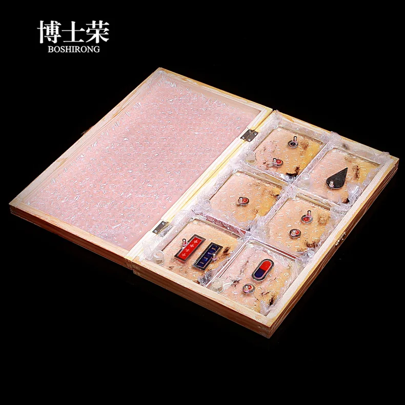 

Physical experimental equipment electric field line demonstrator free shipping