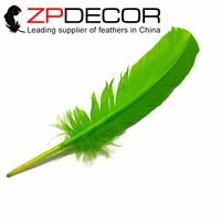zpdecor 50pcslot smooth dyed lime green turkey rounds quill wing feathers diy and hot fashion decoration