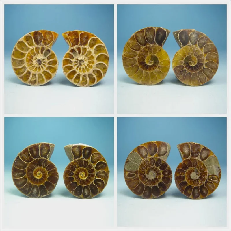 Пара естественных фотографий аквариумные камни лечебные 21 мм-25 мм | Дом и сад