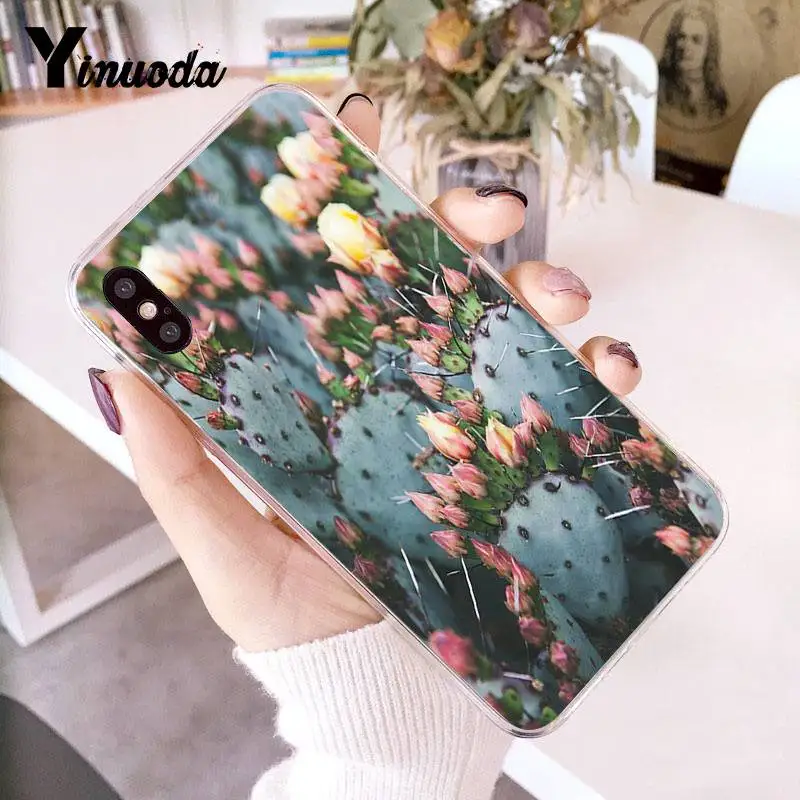 Прозрачный чехол для iphone 13 7 6 X акварельные кактусы и суккуленты телефона 8 6S Plus SE XR