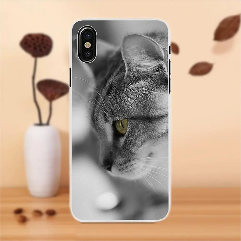 Fashion Cat With Sunglasses Soft TPU Cover Cases For Apple iPhone 4 4S 5 5C SE 6 6S 7 8 Plus X LG G4 G5 G6 K4 K7 K8 K10 | Мобильные