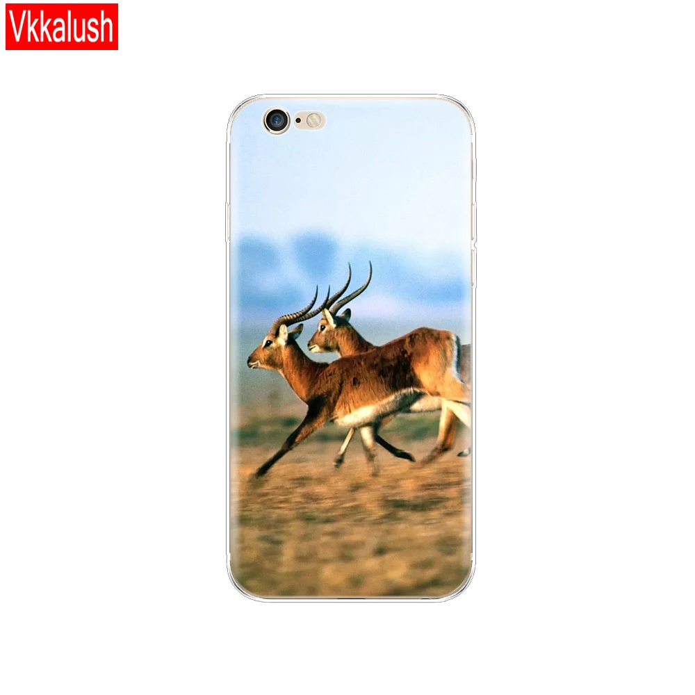 11078 Для iphone 5S, 5 s, se, 4, 4S, чехол, мягкий ТПУ, чехол для телефона, чехол для Apple iPhone 6 s, 6 s plus, Fundas, coque etui, бампер - Цвет: 11078