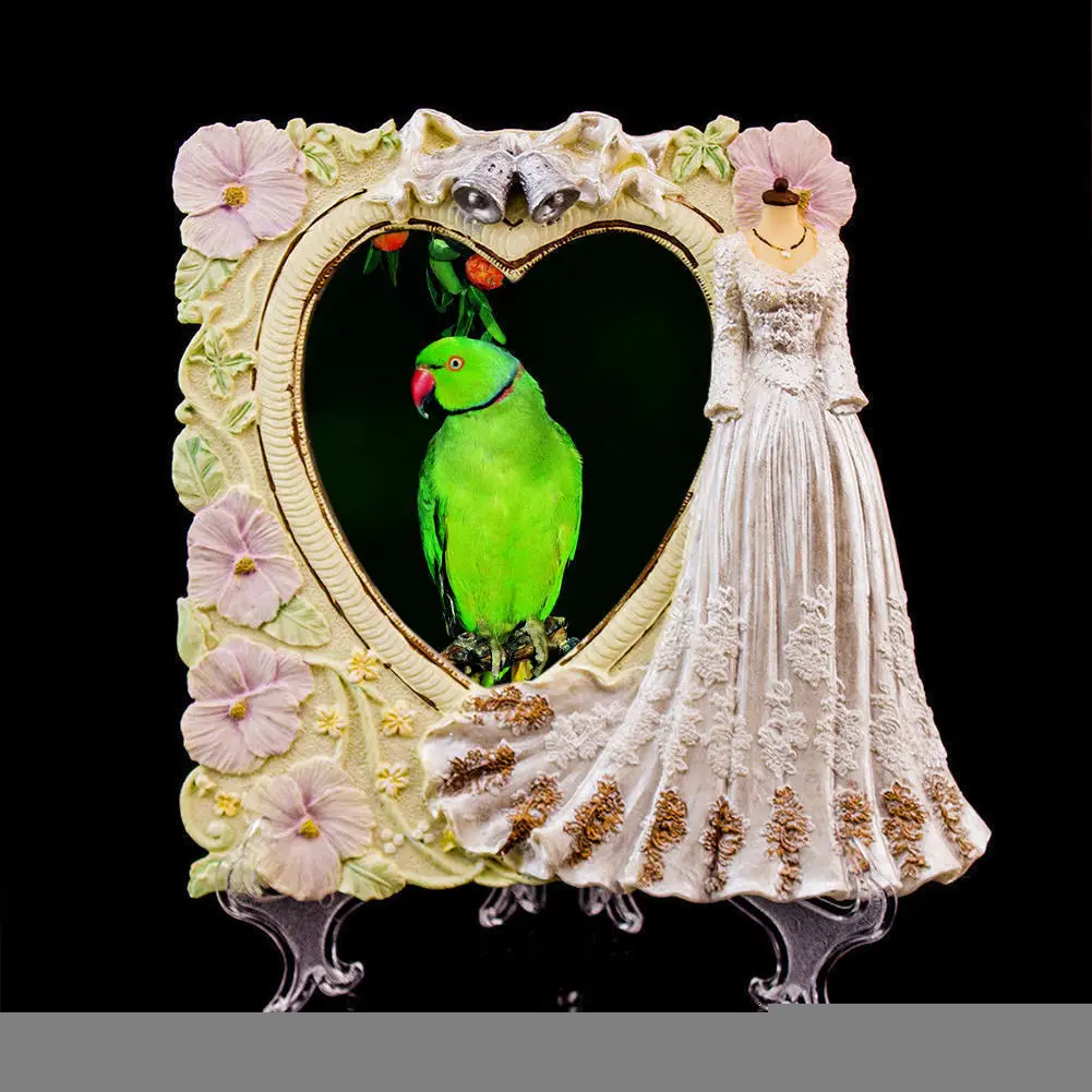 3 шт./компл. разные размеры 5 7 дюймов | Дом и сад