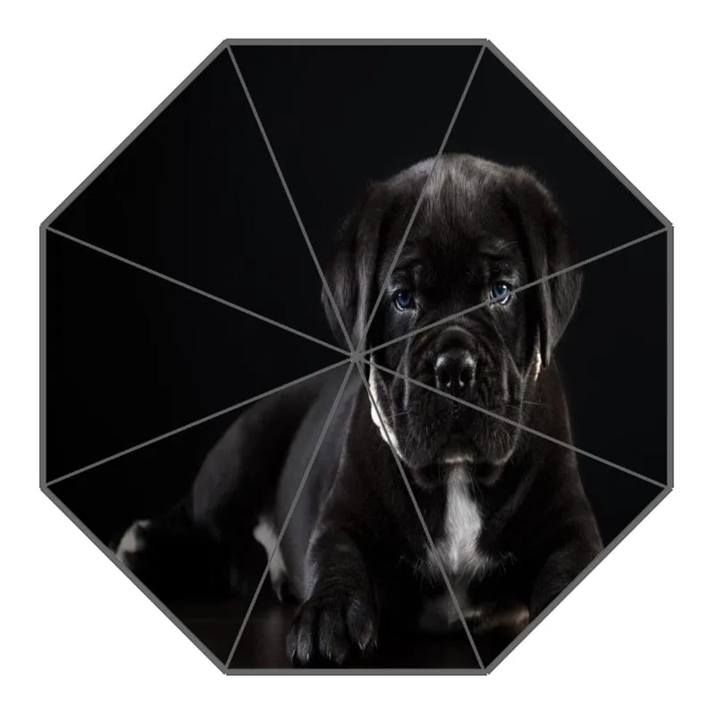 10 Custom Cane Corso Dog Umbrellas Polyester Fabric High Quality Sunny And Rainy Umbrella Non-Automatic Umbrella For Adults - Цвет: 10