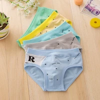 new arrived free shipping high quality boys teenager cotton briefs panties kids children underwear 2 16years 5pcslot