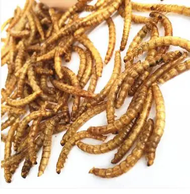 500 г Сушеные Mealworms для аквариумных рыб корма рептилия, черепаха-Хомяк дикая птица корм для домашних животных