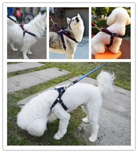 Поводок для собак Джинсовый пояс тренировочная веревка ошейник с дистанционным