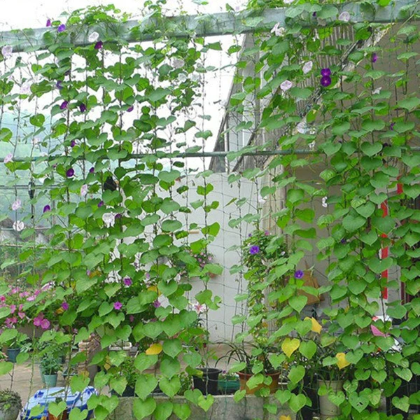 Hot Sale Garden Green Nylon Trellis Netting Support Climbing Plant Nets Grow Fence | Дом и сад
