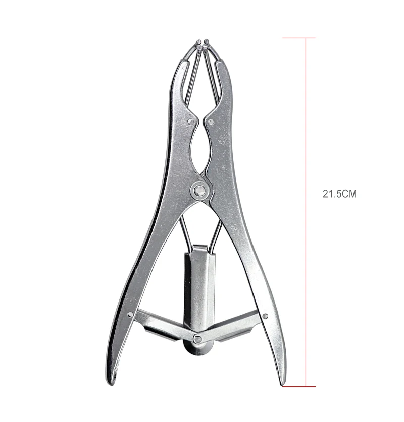 Ферма поросят овечий хвост стыковочный зажим для Бескровной кастрации