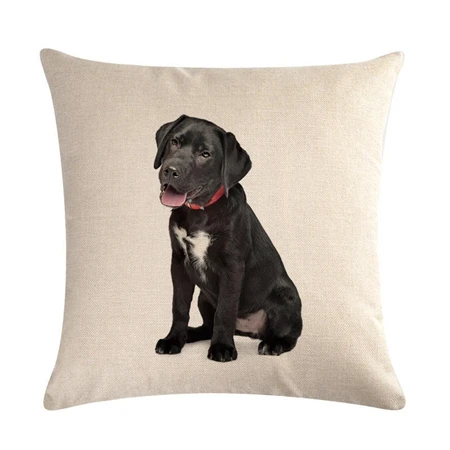 Cushion cover10 Милый собачий напечатанный Чехол для подушки лабрадор, золотистый ретривер Льняные декоративные подушки для украшения дома подушки для дивана и в автомобиль чехол - Цвет: Cushion cover10