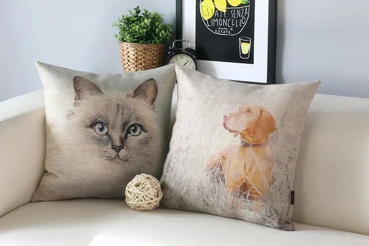Nordic Ragdoll Лабрадор Подушки детские, кошка собака Подушки Детские подушки, Подушки детские, Диван Подушка Главная Декоративные Подушки