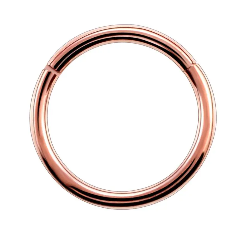 Rose Gold 1 шт. G23 титановое шарнирное сегментное кольцо для носа 16 г и 14 г ниппель кликер ушной хрящи трагус Спираль пирсинг для губ унисекс модные ювелирные изделия - Окраска металла: Rose Gold