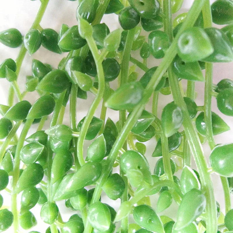 

80cm Artificial Succulents Pearls Fleshy Green Vine Flowers Hanging Rattan Wall Simulation Flower Lover Tears Succulent Plants