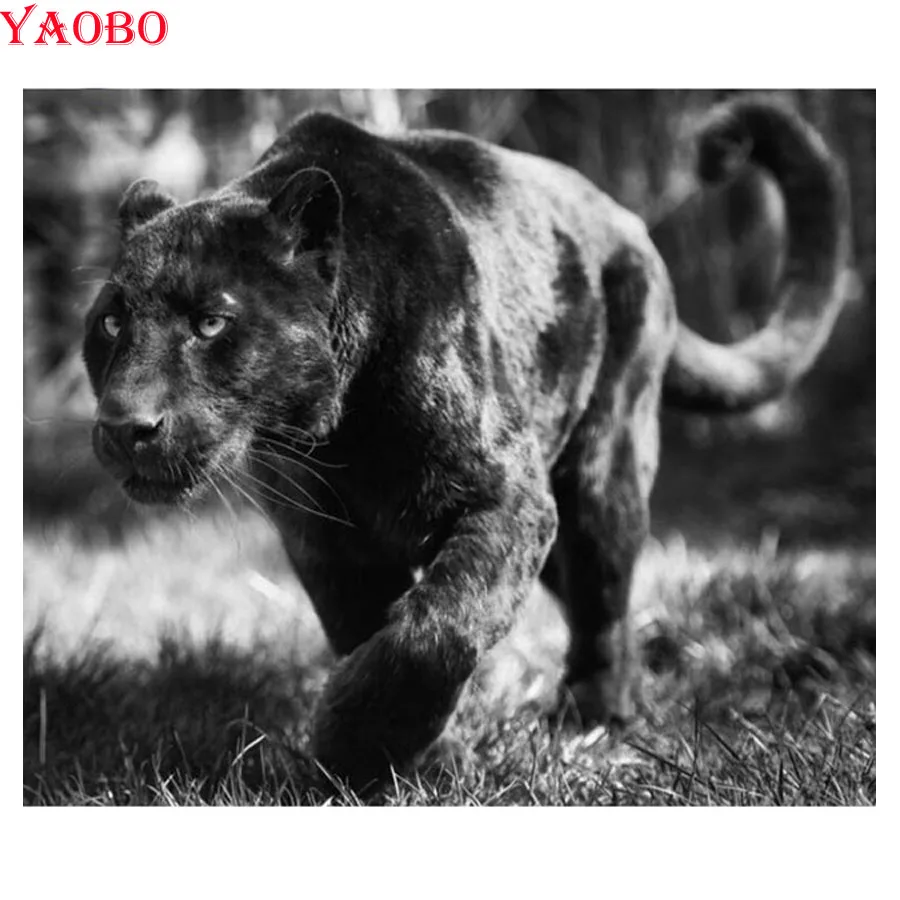 

5D Square/Round Diamond embroidery Black panther 5d diy Diamond painting cross stitch diamond Mosaic Rhinestone Home Decor