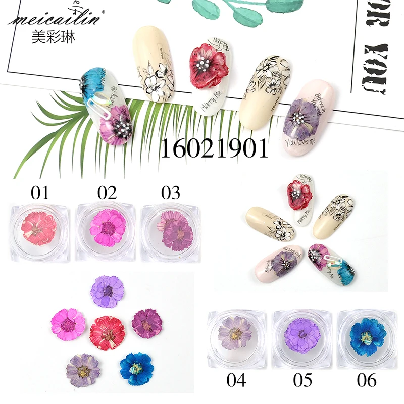 Летние сухие цветы 6 коробок/комплект украшения для ногтей натуральные Цветочные