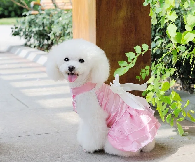 Y07 Wedding Dog Dress Pets Dogs Clothes Sweaty Puppy dog Cats Princess Bowknot Floral Tutu Skirt Costume for Yorkshir | Дом и сад