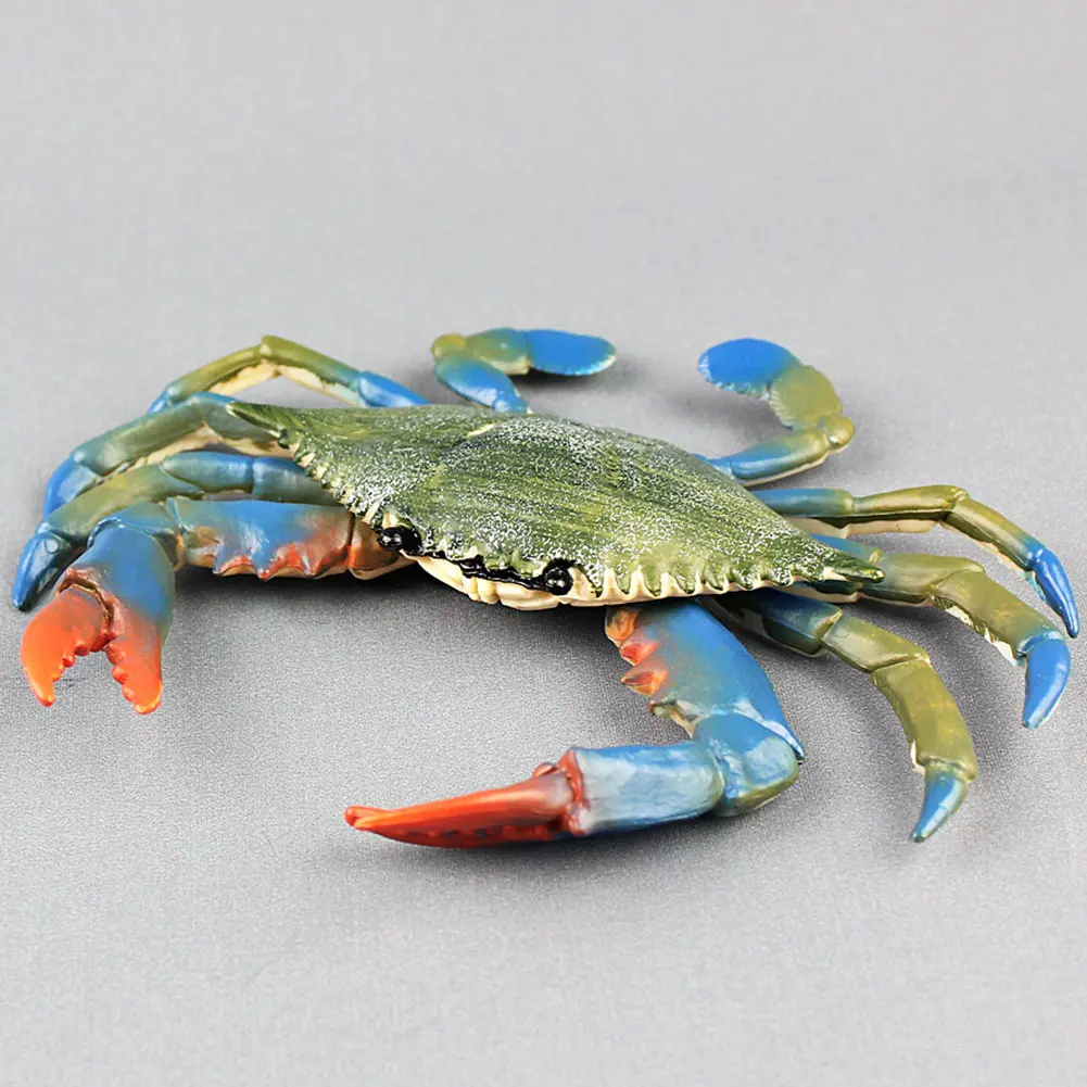 Имитация красного синего цветов реалистичная модель морского животного детская