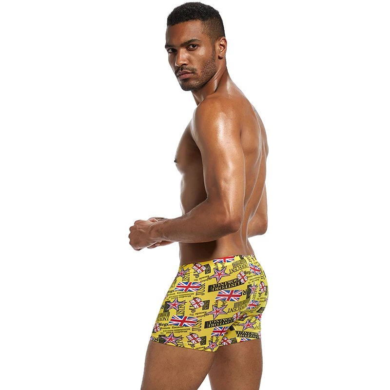 Популярные Модные боксерские шорты BSHETR ice мужское нижнее белье из модала u