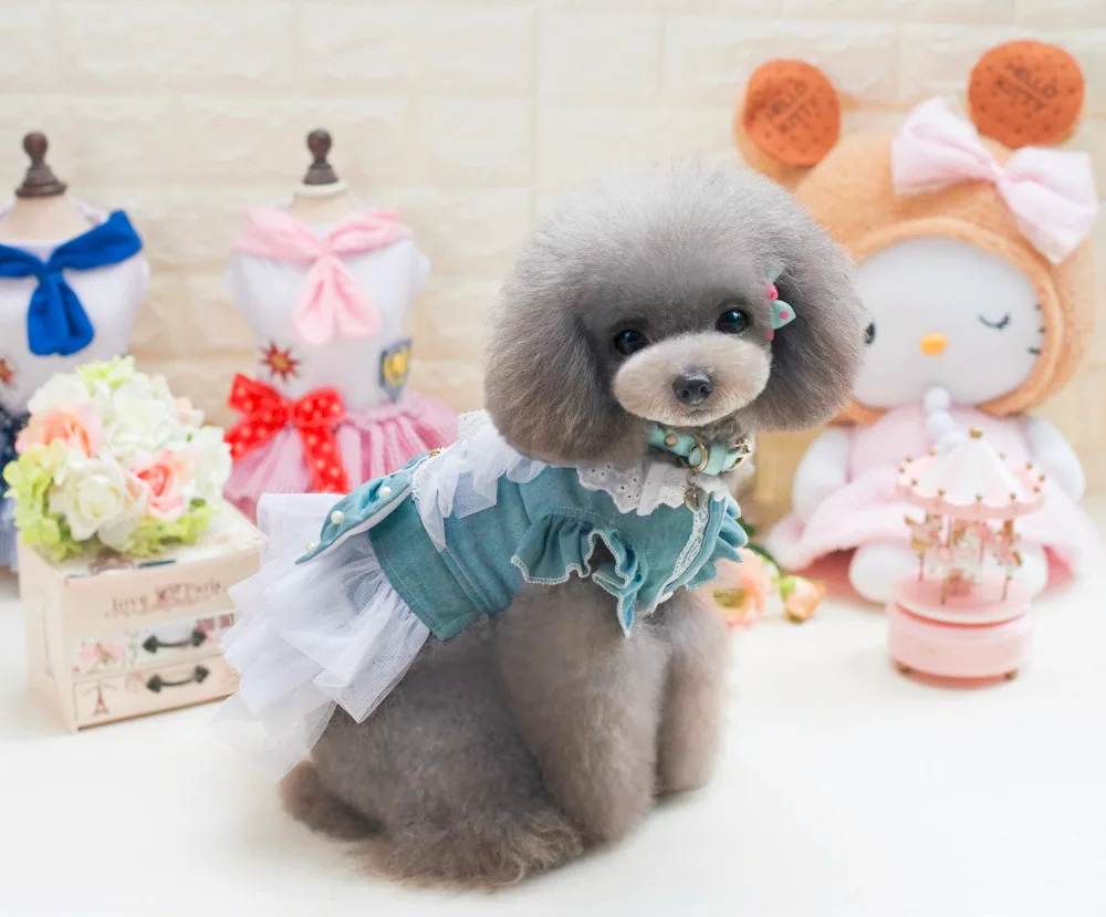 Европейская Женская одежда из джинсовой ткани для домашних питомцев новинка