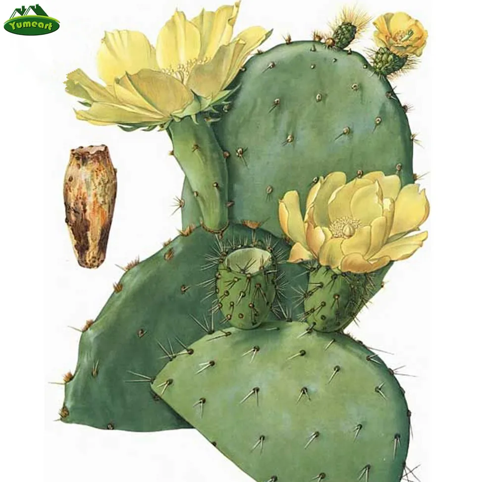 Алмазная картина сделай сам алмазная вышивка крестиком наборы кристаллов