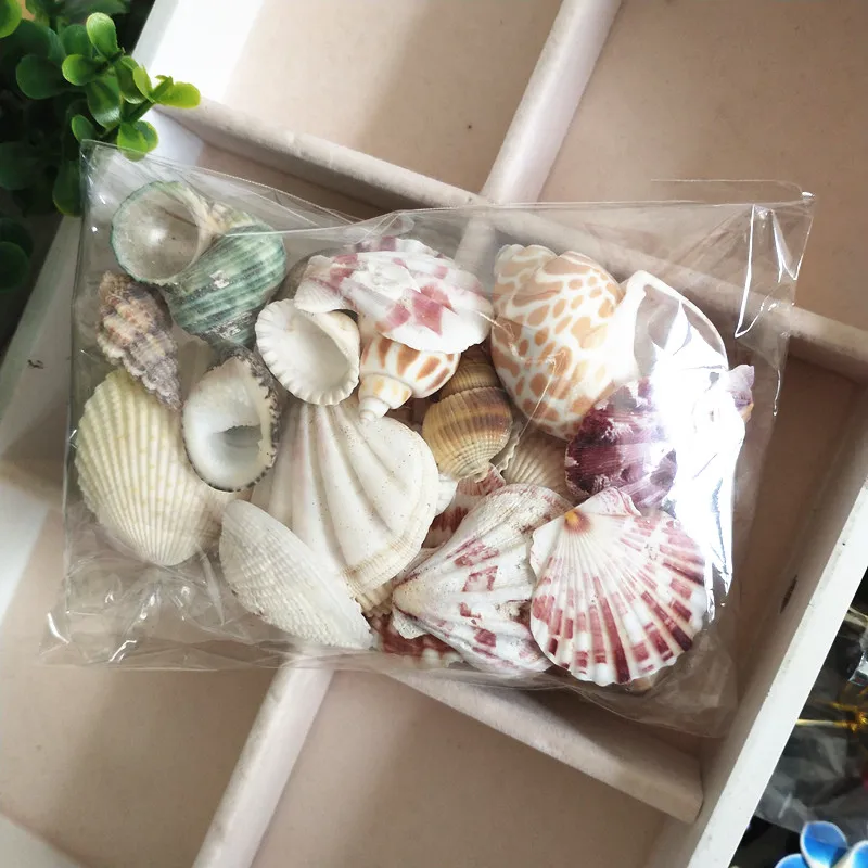 100 г/пакет Средиземноморский стиль DIY Мода Пляж смешанные ракушки микс натуральные морские раковины для поделок для аквариума аквариум Декор