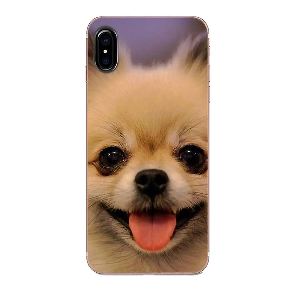 Милый чехол для телефона Pomeranian Dogs с красочным дизайном Apple iPhone 4 4S 5 5C 5S SE 6 6S 7 8 Plus X XS