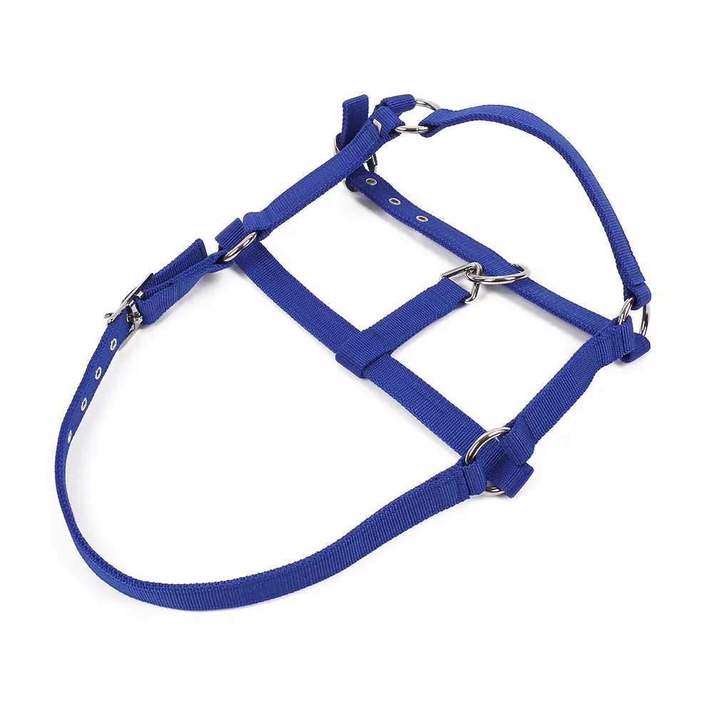 Blue S Пояс для верховой езды уздечка Регулируемый Холтер головной убор рогатый аксессуар красный/синий - Цвет: Blue S