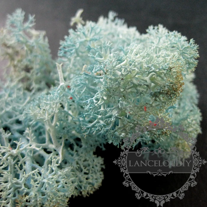 Натуральный зеленый черный желтый небесно-голубой желто-зеленый красный розовый