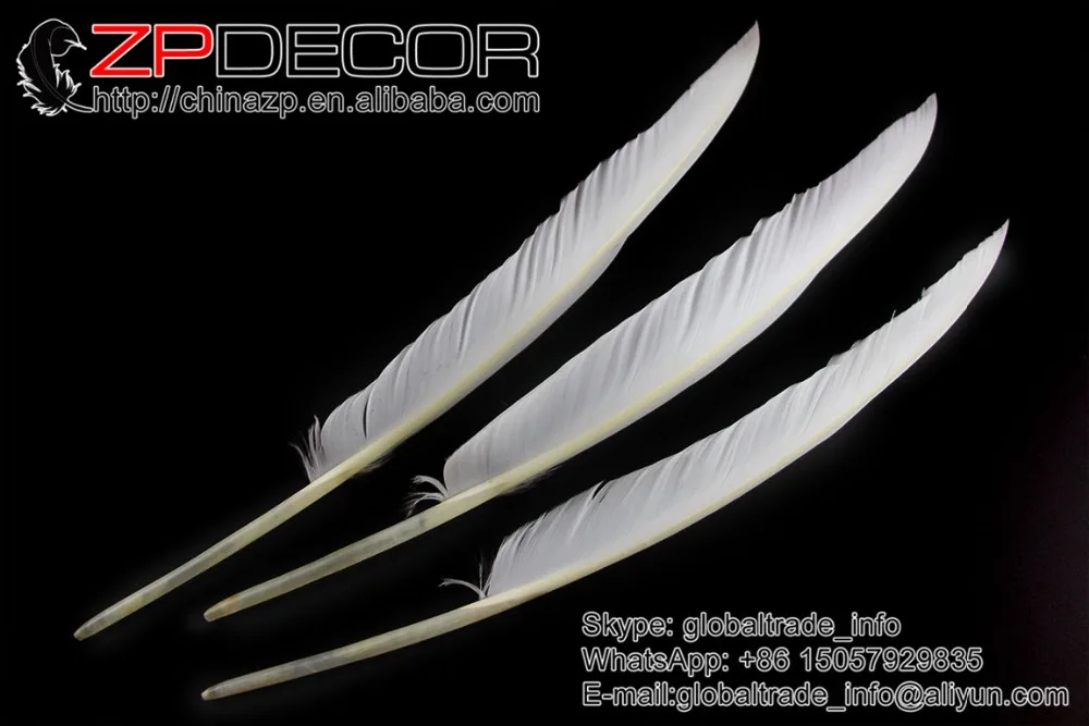 ZPDECOR 50 шт./лот 25-30 см (10-12 дюймов) ручной выбор натурального белого гусиного пера