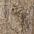 Уличная Мужская водонепроницаемая камуфляжная охотничья одежда, тактические камуфляжные костюмы, рыбалка, кемпинг, тренировочный костюм, куртка, брюки