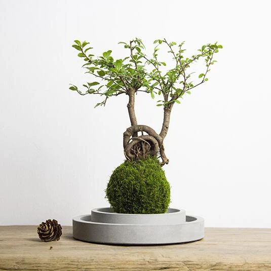 Круглый цементный цветочный горшок нижний держатель подставка для подсвечника