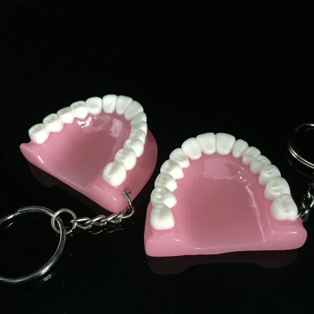 100 шт зубы модель брелок для стоматологического подарка|for dentists|teeth keychaingift for dentist |