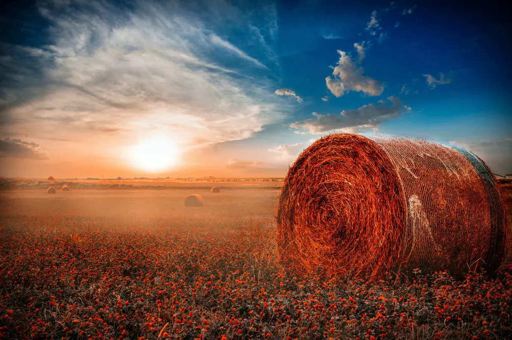 misty field haystack sunset backgrounds High quality Computer print wall backdrop | Электроника