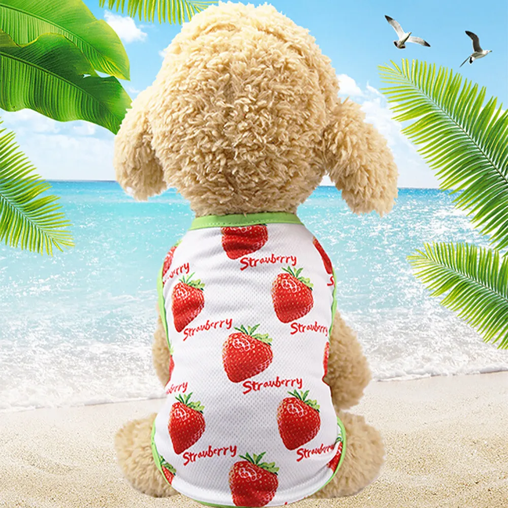 Новое поступление Одежда для животных 2018 животное Пары Платье Щенок принц