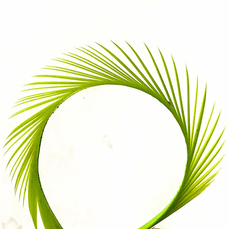 KKWEZVA 21 шт. гусиный Биот Feathers15-20cm гусиные биоты материалы для завязывания мух нимфа и лавы разделенные хвосты и ранние крылья