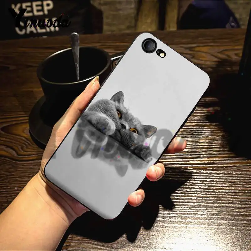 7 Yinuoda для iphone 7 6 X Чехол Британский короткошерстный Кот Топ Дизайн чехол для телефона для iphone 7 6X8 6s Plus 5 5S XS XR чехол - Цвет: 7