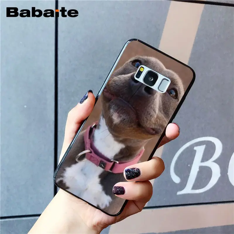 A10 Babaite питбуль прекрасный питбуль чехол для телефона для samsung Galaxy S8 S7 edge S10 Plus S10E S10lite S9 Plus S5 M10 20 - Цвет: A10
