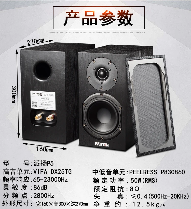 PAIYON P5 hifi колонки для полки powered колонки 2,0 мини настольный домашний кинотеатр